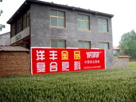 宜宾如何让墙体广告展现最大化效果